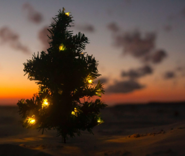 Celebrating Christmas in July 2024 with a 9-Foot Tree