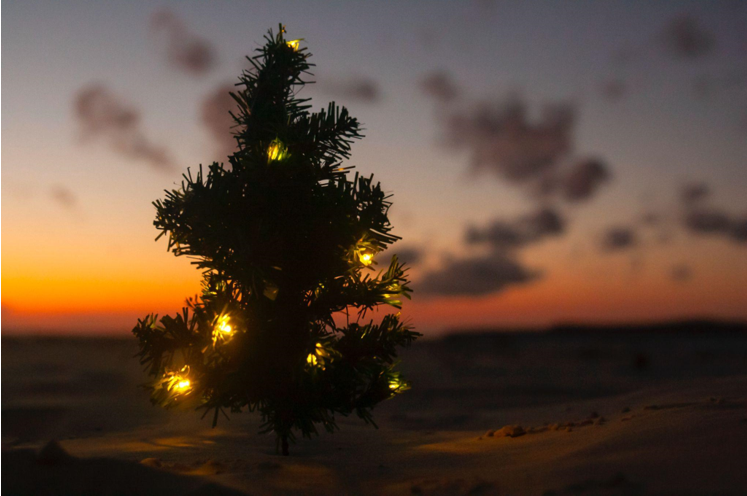 Celebrating Christmas in July 2024 with a 9-Foot Tree